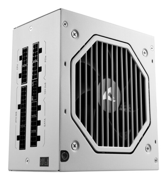 Sharkoon Rebel P20 Netzteil 1000 W 24-pin ATX ATX Weiß