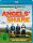 Angels Share Blu-ray