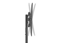 Equip Bodenstandhalter  32"-55"/1TFT  35kg Universal      sw lite Retail