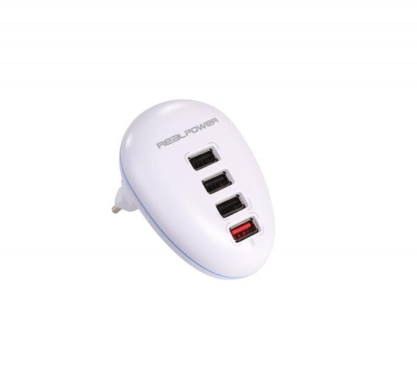 RealPower 4-Port Wall Charger