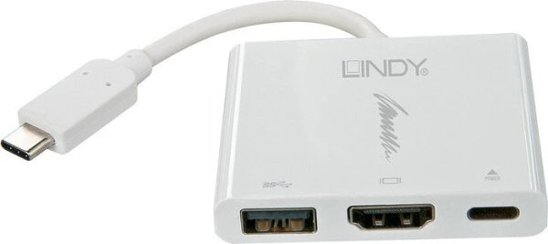 Lindy Konverter USB 3.1 Typ C