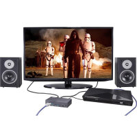 Techly HDMI Audio-Extractor LPCM 7.1 4K, UHD, 3D