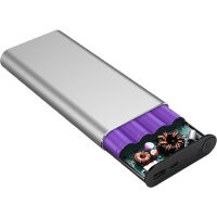 RealPower Powerbank PB-20000PD Pro  silber         20.000mAh